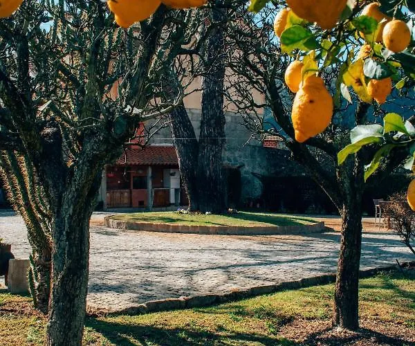 Just Like - Casa Do Rosmaninho ヴィラ カミーニャ