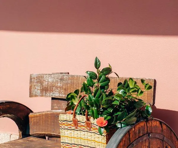 Just Like - Casa Do Rosmaninho ヴィラ *