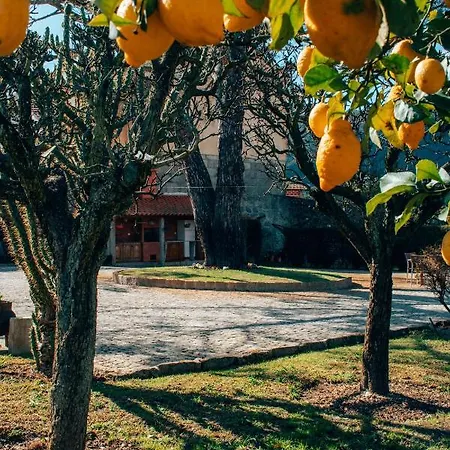 Just Like - Casa Do Rosmaninho Villa Caminha