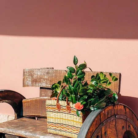 Just Like - Casa Do Rosmaninho Villa *