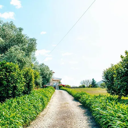 Just Like - Casa Do Rosmaninho Vila Caminha