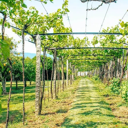 Just Like - Casa Do Rosmaninho Caminha