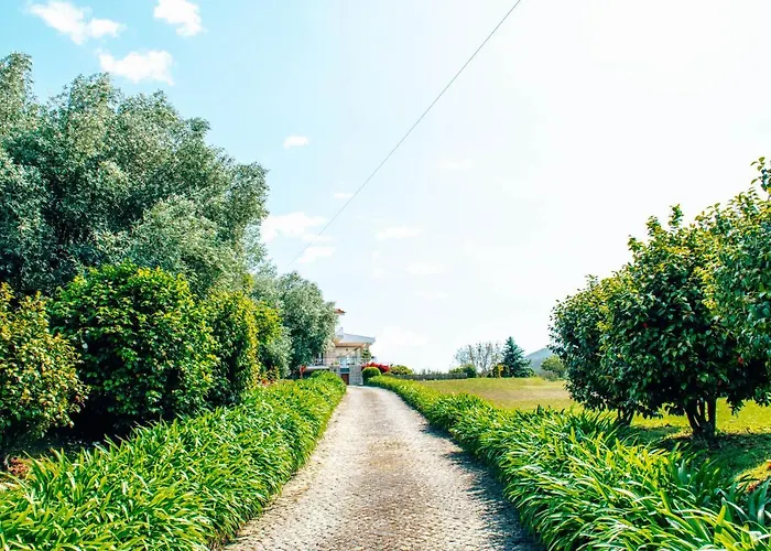 Just Like - Casa Do Rosmaninho Βίλα Caminha