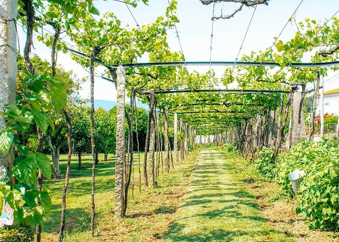 Just Like - Casa Do Rosmaninho Caminha